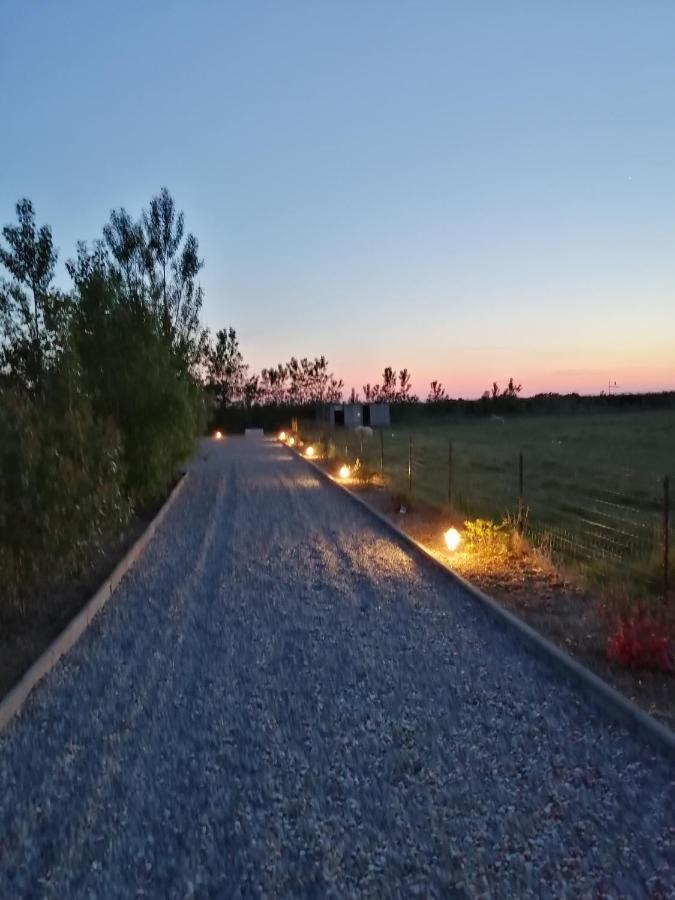 Gite Repos Et Tranquillite P Cayeux-sur-Mer Exteriör bild