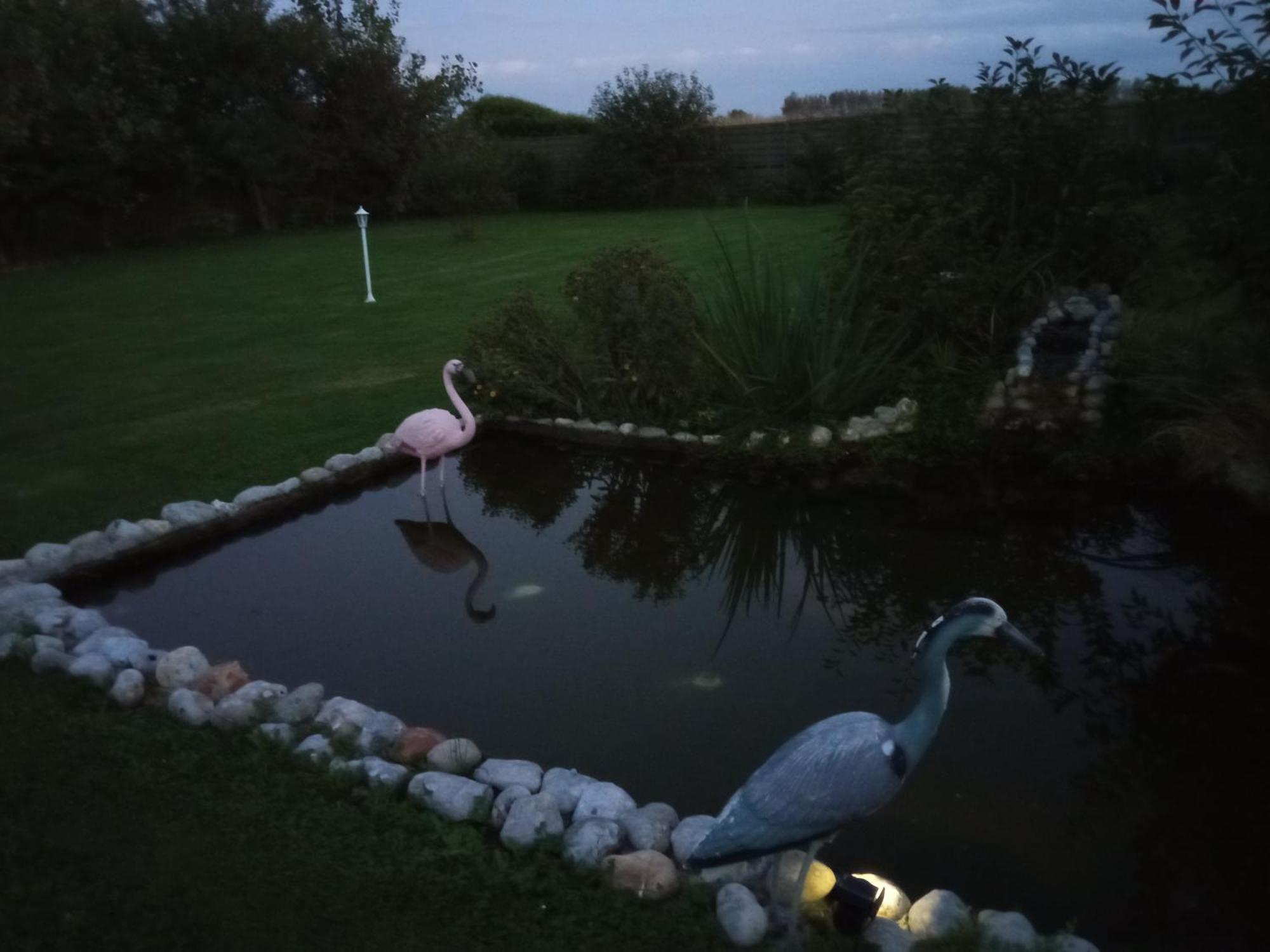 Gite Repos Et Tranquillite P Cayeux-sur-Mer Exteriör bild