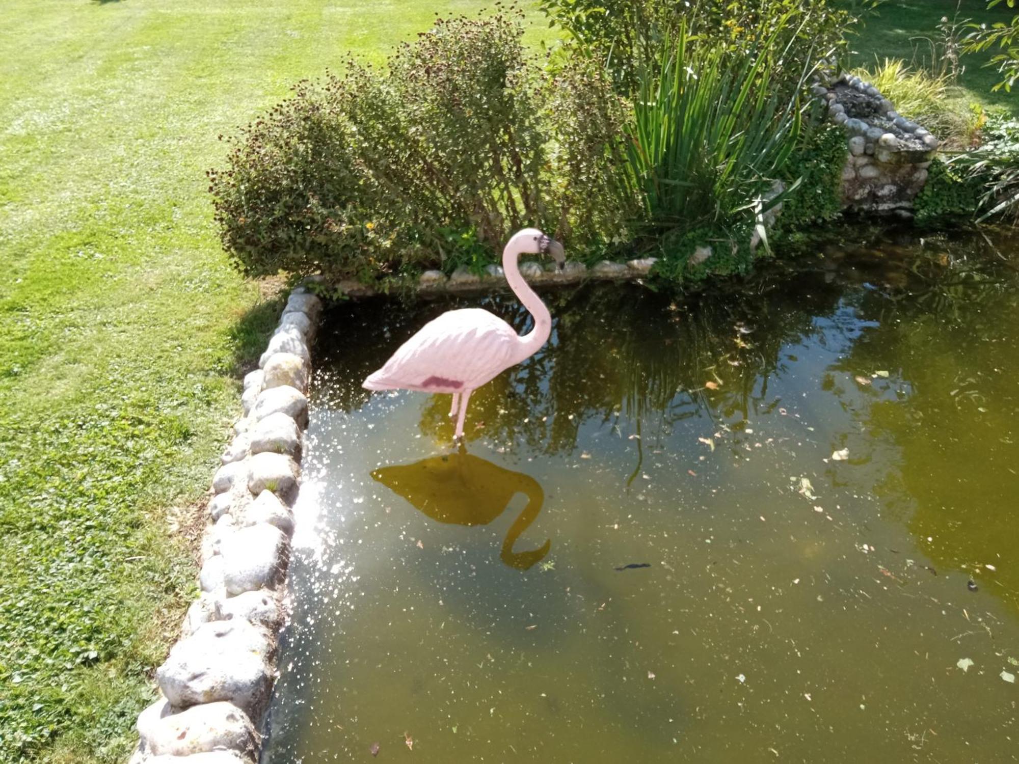 Gite Repos Et Tranquillite P Cayeux-sur-Mer Exteriör bild